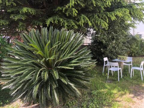 Dimora Scaldaferro Villa Mira Kültér fotó